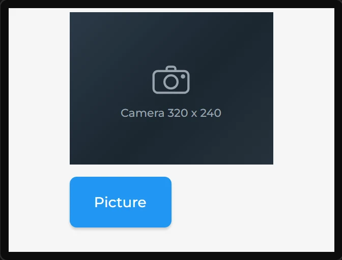 The camera view as a dark box with a camera symbol, and a blue Picture button under it.